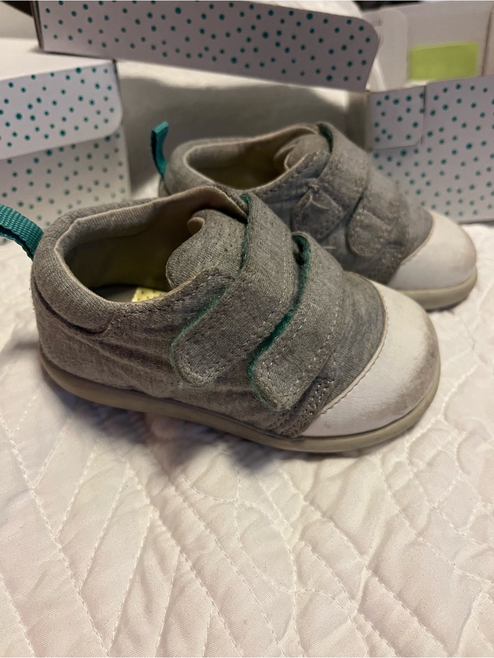 Ten Little Eco Canvas Sneakers Original Toddler shoes in Heather Gray Size 6